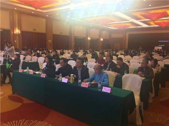 2018廣東第五屆（肇慶）新型墻材技術交流大會