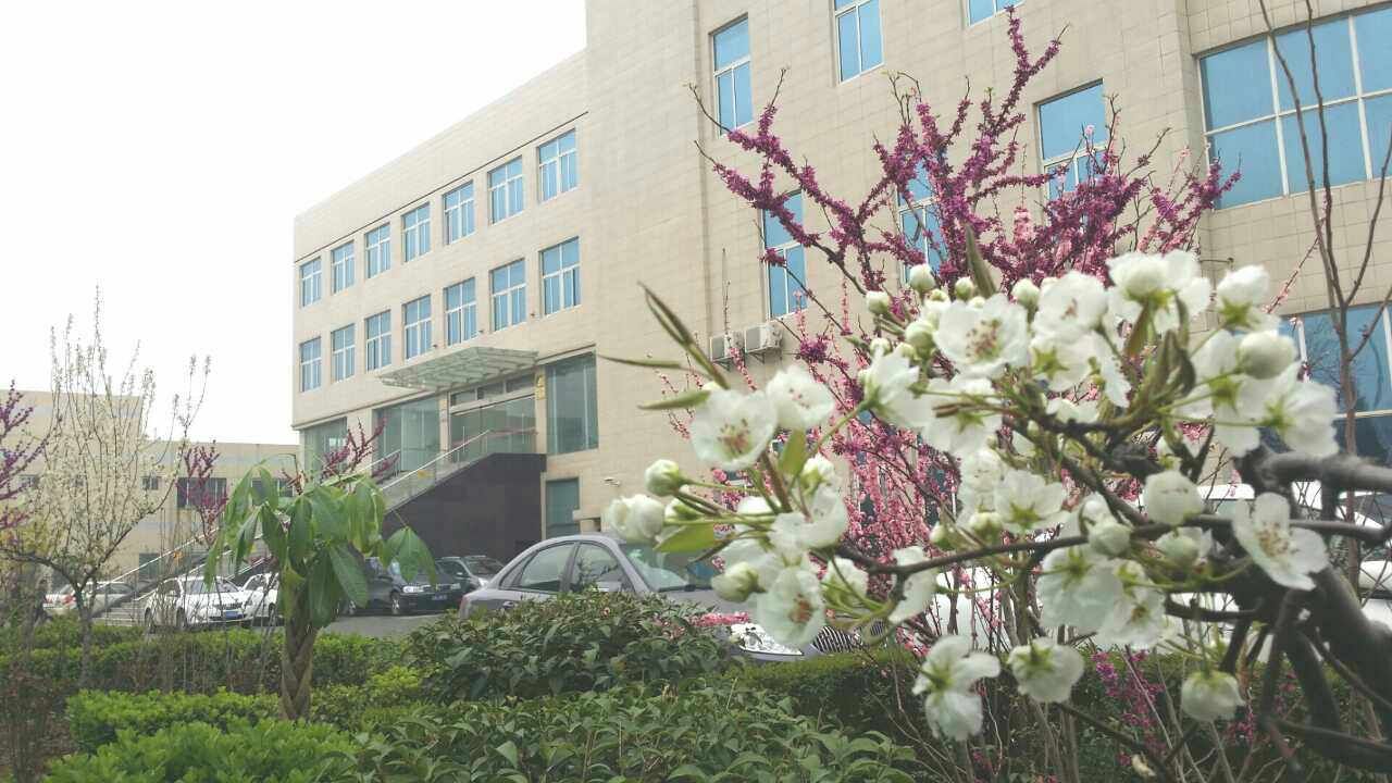 為什么銀馬是知名的砌塊磚機廠家