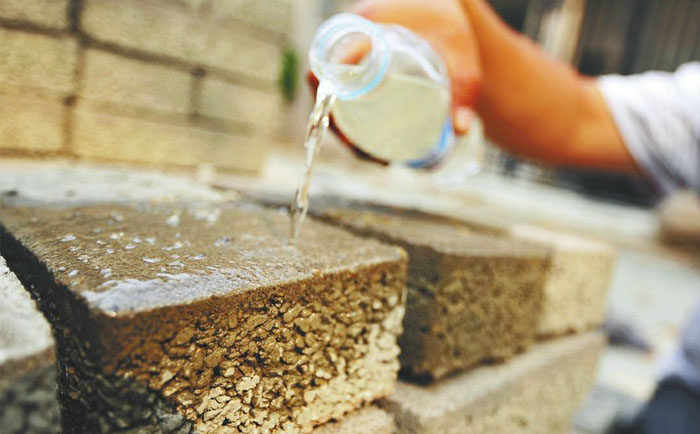 按照海綿城市的標準改造城市水系