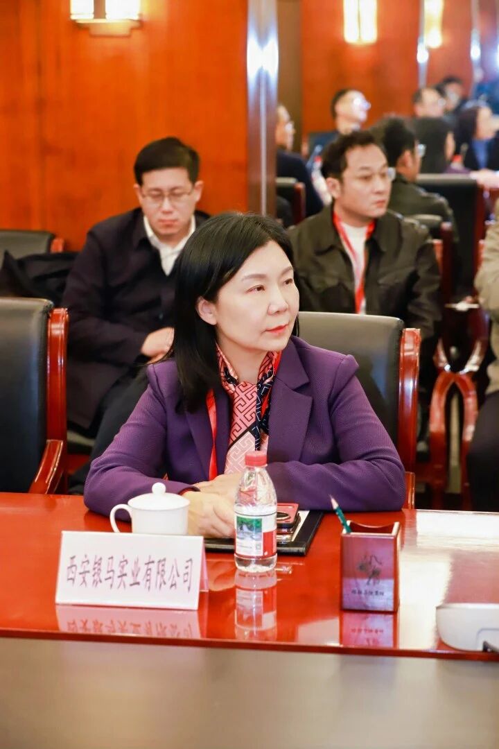 西安銀馬參加煤碳資源型城市煤矸石百千萬噸級產業(yè)化項目技術方案精準對接會